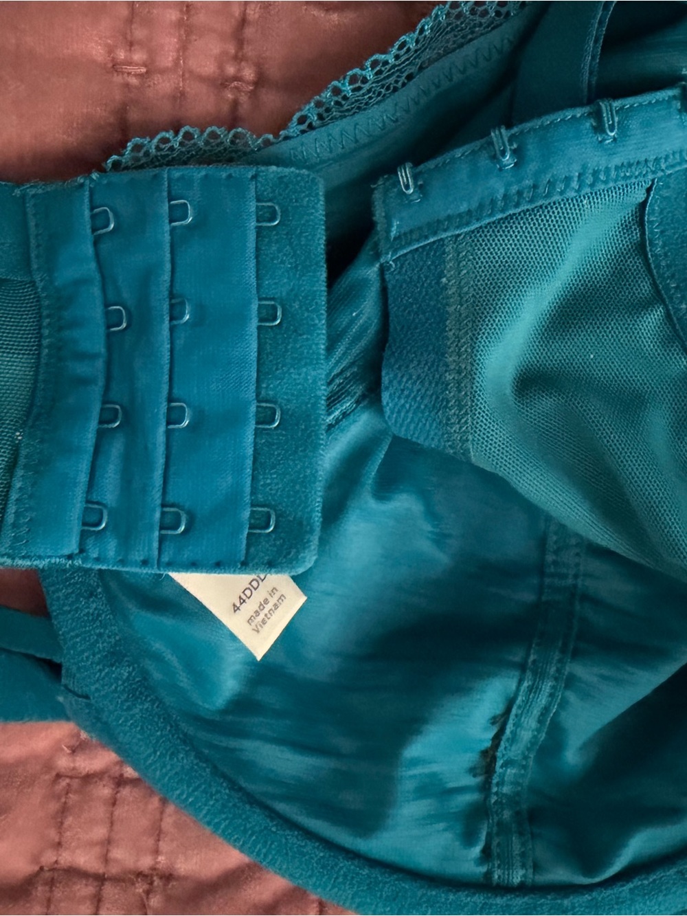 Clinique Teal and Black Lace Underwire Bra - Picture 3 of 4